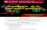 Regula c i on Genetic a 2013
