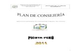 Plan de Consejeria 2011