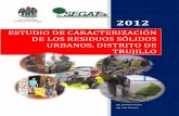 Informe Caracterización 2012