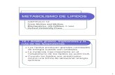 125817831 Catabolismo de Lipidos PDF