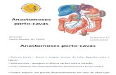 Anastomoses Porto Cavas