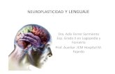 Neuroplasticidad y Lenguaje 1