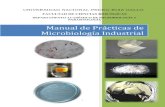 Manual de Prácticas Microbiologia Industrial_IQ