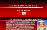 5.-La Salud Publica en Peru