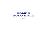 07 Chaco Campo BBL 2012
