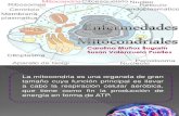 Enfermedades Mitocondriales Seminario 3 de Bioquimica