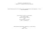 Informe Final de Grupo Colaborativo - Manejo y Conservacion de Suelos