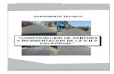 Expediente Tecnico de Veredas y Pavimentacion H.U.P California