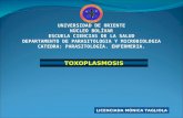 Toxoplasmosis 100602182844 Phpapp02