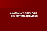 semiologia del SNC.pptx