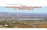 Frutales Subtropicales en Malaga