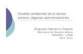 Dr Augusto Navarro Gestion Ambiental Minera