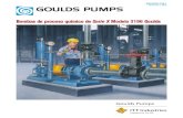 Goulds Pumps 3196 Serie X
