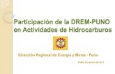 6.Participacion DREM Actividades en Hidrocarburos
