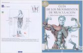 guia anatomica de los movimientos de musculacion.pdf