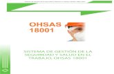 SISTEMA DE GESTIÓN DE LA  SEGURIDAD Y SALUD EN EL  TRABAJO, OHSAS 18001