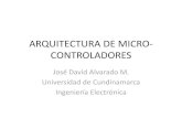 Arquitectura de Micros