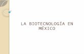 LA BIOTECNOLOGÍA EN MÉXICO EXPOSICION.pptx