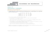 T2 Algebra Matrices