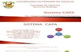 Sistema CAPA
