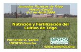 Fertilizacion Trigo Paraguay Web