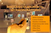 Proceso Quirúrgico Intraoperatorio - Campos et al