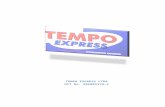 TEMPO EXPRESS LTDA Auditoria Informatica...