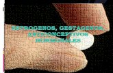 Estrogenos, Gestagenos, Anticonceptivos Hormonales