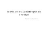 Teorìa somatotipos de Sheldon