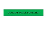Cuarta Diagramas de Forester