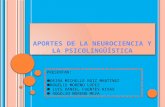 Aportes de la neurociencia y la psicolingüística2