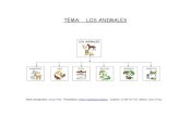 LOS ANIMALES Mapas Conceptuales y Evaluacion