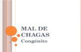Mal de Chagas Final2