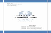 Caso 2 - VINATERÍA GALLO.pdf