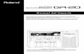 Roland GR-20 Manual