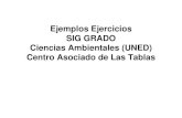 GRADO SIG 2012-2013 Ejemplos Ejercicios