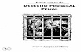Breve Curso de Derecho Procesal Penal - Martin Aragon Martinez