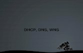 Dhcp DNS Wins