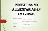 Industrias No Alimentarias en Amazonas 2