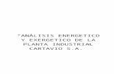 Proyecto_analisis Exergetico y Energetico de La Planta Industrial Cartavio Del Grupo de Lorenzo