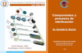 3 Procesos y Componentes de Biofiltracion_GM_2011
