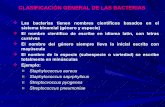 Bacteriologia Medica
