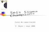 Seis Sigma Champions