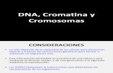 Cromatina y Cromosomas Citogenetica 2014 DFMC