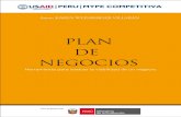 05 14 Plan de Negocios Winberger USAID Peru Mype C