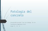 Patología del concreto