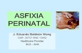 174523098 Asfixia Perinatal Update 2013