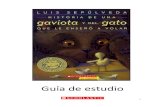 Novela, Guia y Estudio Historia Gaviota Gato Enseñó a Volar