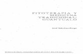 07. Fitoterapía y medicina tradicional. Guantualo. José Sanchez Parga