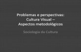Problemas e Perspectivas Cultura Visual Metodologia 13-14 b